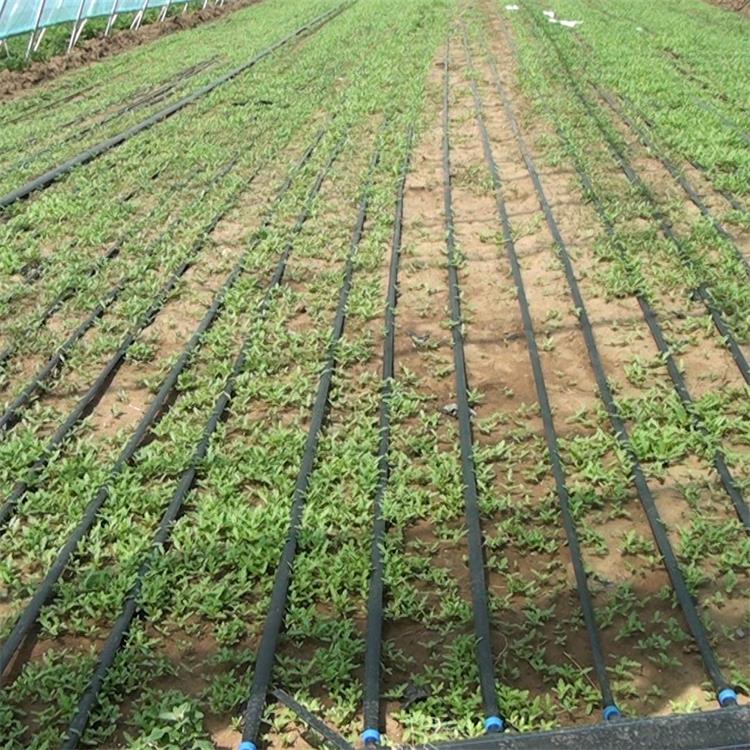 Drip-Irrigation-Tape-2