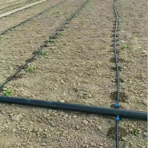 Drip-Irrigation-Tape